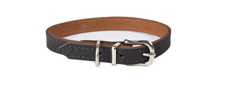 Hundehalsband leder