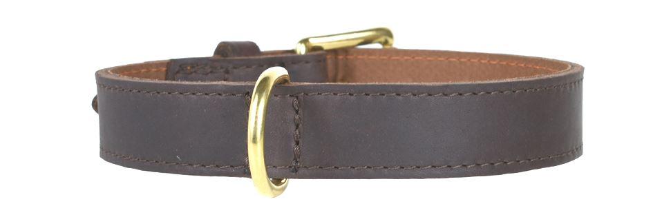 Hundehalsband aus Leder.