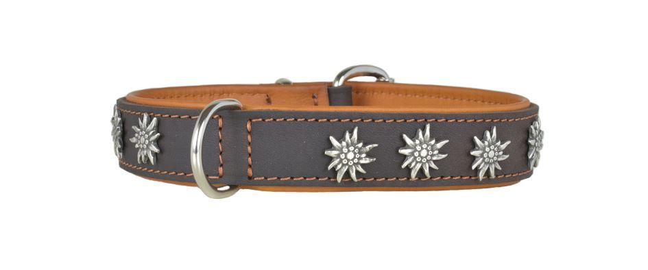 Hundehalsband leder schmuckhalsband