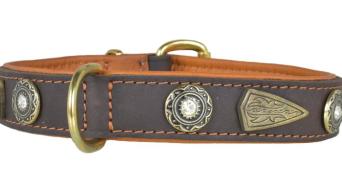 Hundehalsband leder schmuckhalsband