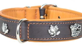 Hundehalsband