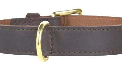 Hundehalsband aus Leder.
